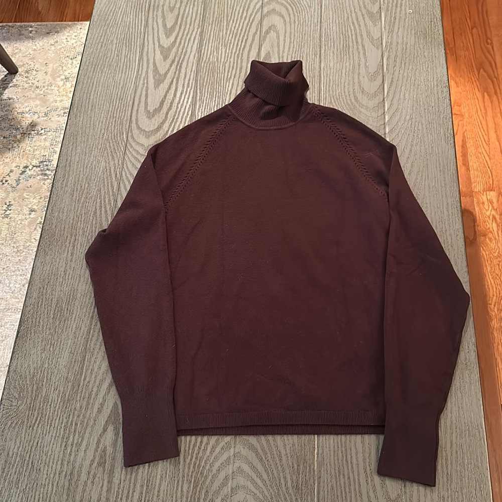 Max Studio Turtleneck-